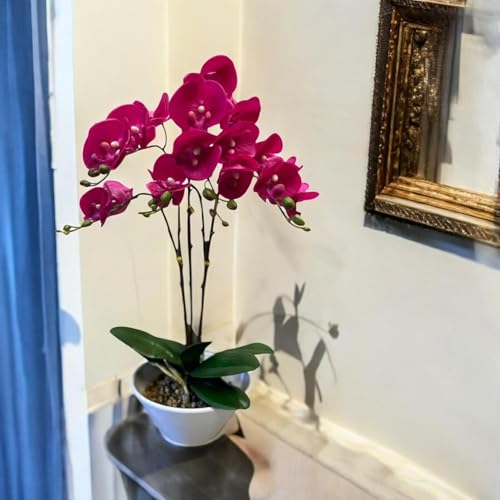 Fox & Fern Artificial 57CM Orchid Flowers in Ceramic Pot with 3 Stems, 5 Flower Sticks | Orchid Bonsai Faux Phalaenopsis Plant (GAOR24-0196DP) Dark Pink - Image 4