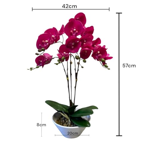 Fox & Fern Artificial 57CM Orchid Flowers in Ceramic Pot with 3 Stems, 5 Flower Sticks | Orchid Bonsai Faux Phalaenopsis Plant (GAOR24-0196DP) Dark Pink - Image 2