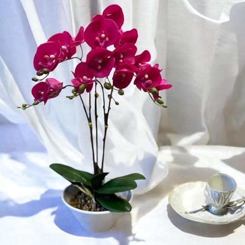 Fox & Fern Artificial 57CM Orchid Flowers in Ceramic Pot with 3 Stems, 5 Flower Sticks | Orchid Bonsai Faux Phalaenopsis Plant (GAOR24-0196DP) Dark Pink - Image 1
