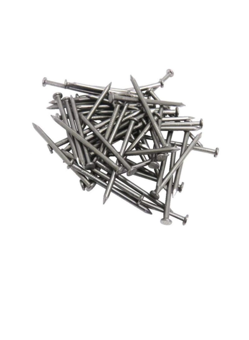High Strength Round Head Nails For Carpentry Hardware Electrical Etc (100, 3/4 inch) - Image 1