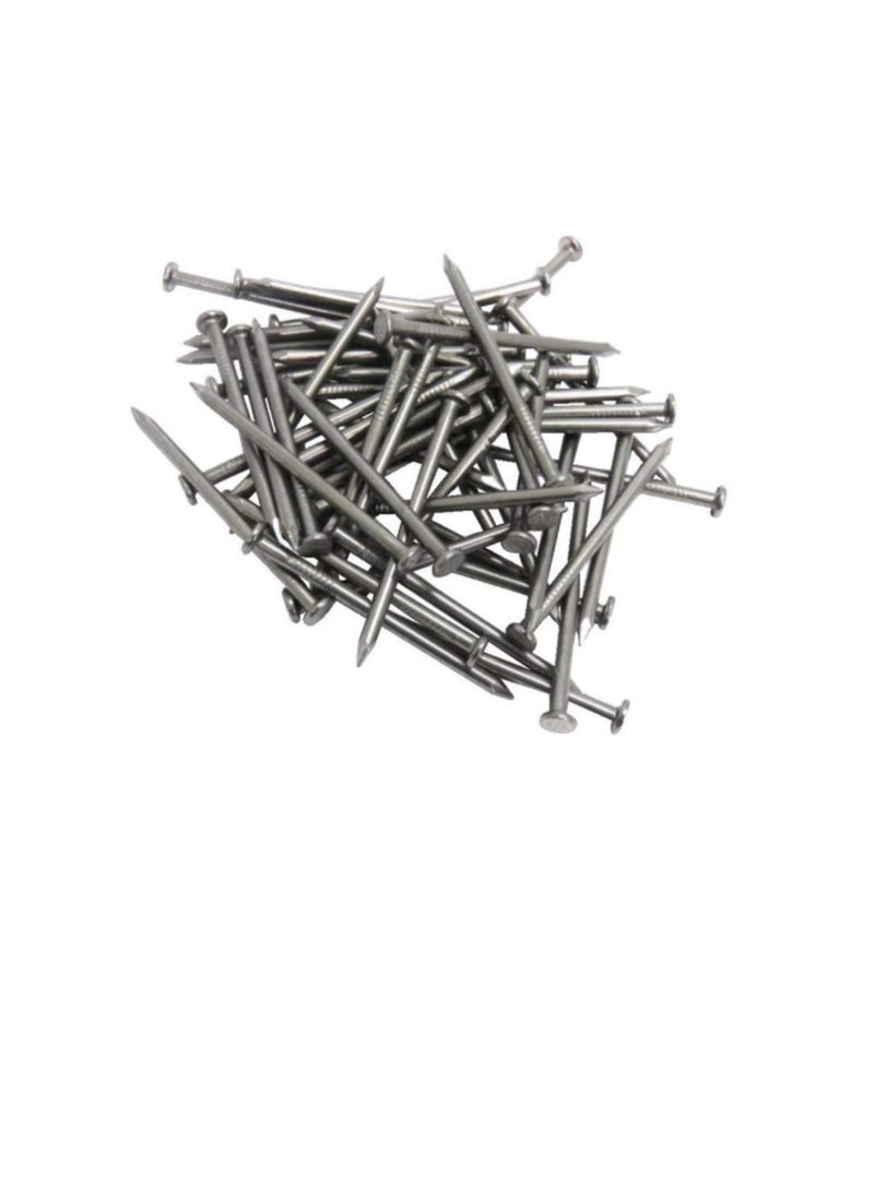 High Strength Round Head Nails For Carpentry Hardware Electrical Etc (100, 3/4 inch) - Image 3