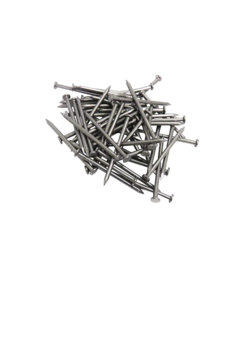 High Strength Round Head Nails For Carpentry Hardware Electrical Etc (100, 3/4 inch) - Image 2