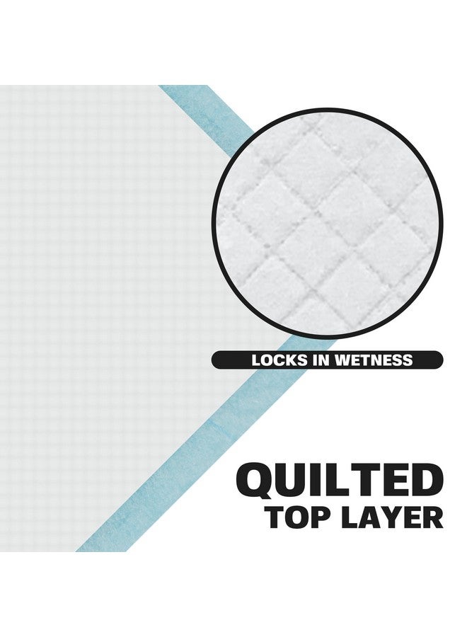BV Small Puppy Pads Leak-Proof 17"x24" [100CT] | Pee Pads for Dogs Ultra Absorbent 6-Layer Pets Potty Training Pads for Dogs, Dog Pad for Cat, Rabbit, Guinea Pig - Image 2