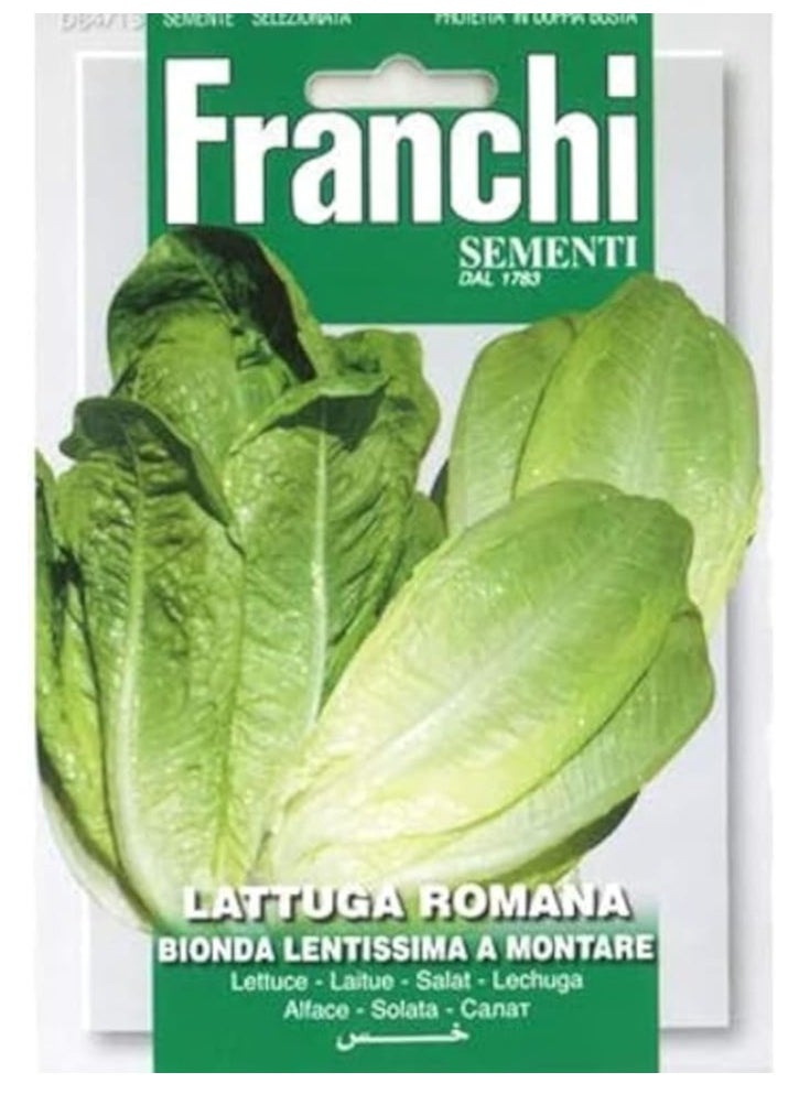 Franchi Lettuce Lattuga Romana Seeds - pzsku/Z26258FF1C7B9A118D4D5Z/45/_/1736061320/00a28dcc-c0e7-469d-81a0-e1f7b56f9328