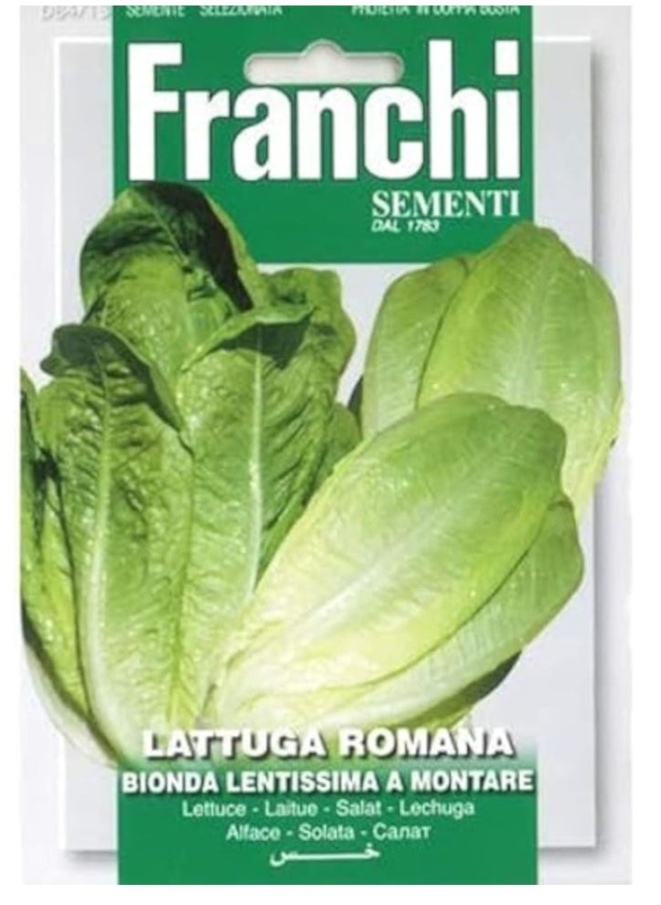 Franchi Lettuce Lattuga Romana Seeds - pzsku/Z26258FF1C7B9A118D4D5Z/45/_/1736061330/19f9c5ee-a6f0-45ea-8bb5-d269df42a5d0