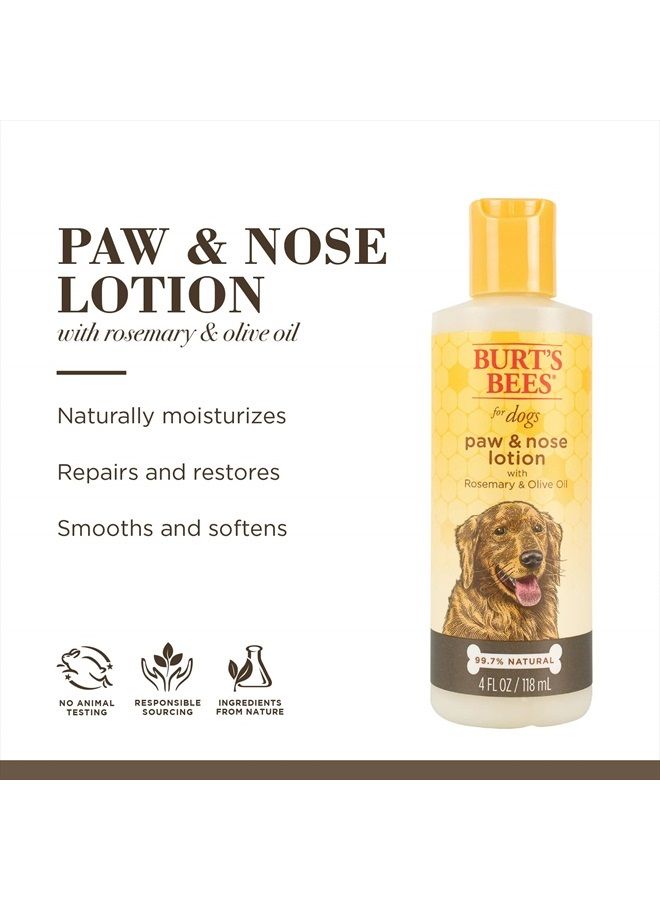 Burt's Bees for Pets for Dogs All-Natural Paw & Nose Lotion with Rosemary & Olive Oil | For All Dogs and Puppies, 4oz | Best Treatment for All Dogs and Puppies With Dry Nose and Paws - Image 2