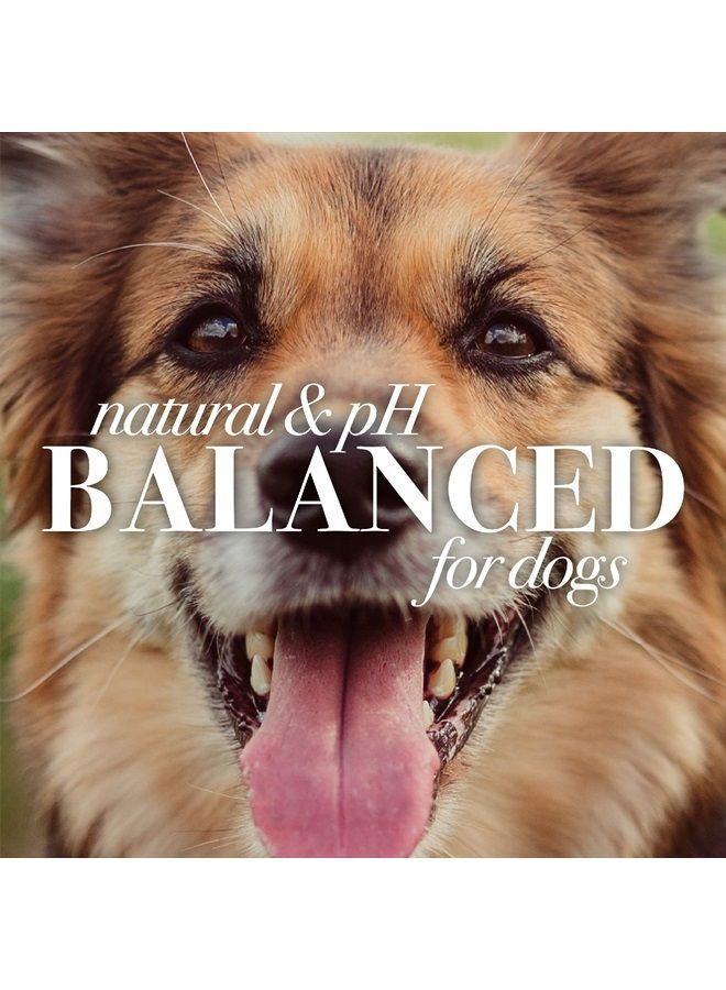 Burt's Bees for Pets for Dogs All-Natural Paw & Nose Lotion with Rosemary & Olive Oil | For All Dogs and Puppies, 4oz | Best Treatment for All Dogs and Puppies With Dry Nose and Paws - Image 5