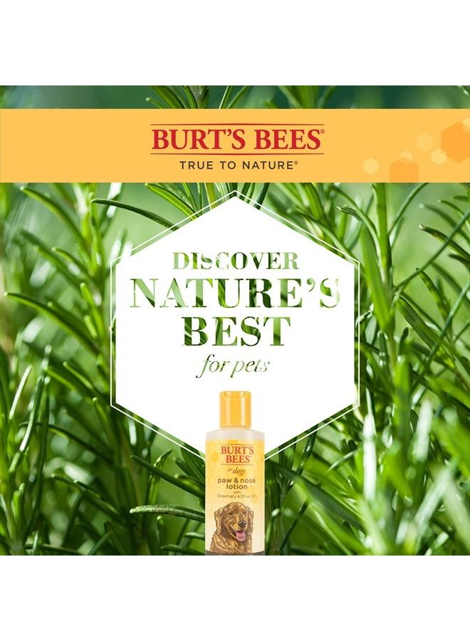Burt's Bees for Pets for Dogs All-Natural Paw & Nose Lotion with Rosemary & Olive Oil | For All Dogs and Puppies, 4oz | Best Treatment for All Dogs and Puppies With Dry Nose and Paws - Image 3