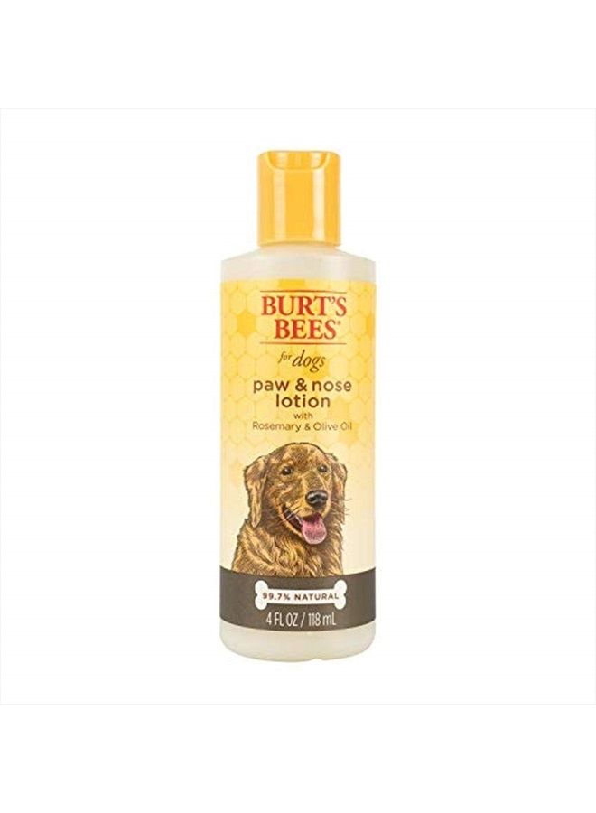 Burt's Bees for Pets for Dogs All-Natural Paw & Nose Lotion with Rosemary & Olive Oil | For All Dogs and Puppies, 4oz | Best Treatment for All Dogs and Puppies With Dry Nose and Paws - Image 1