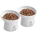 OMAYKEY 65 Inch Extra Wide Ceramic Raised Cat Bowls Tilted Elevated Cat Bowl - Image 1