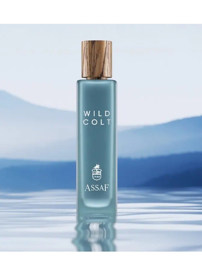 عساف وايلد كولت اودي بارفيوم 200ملي الاصلي - Image 1