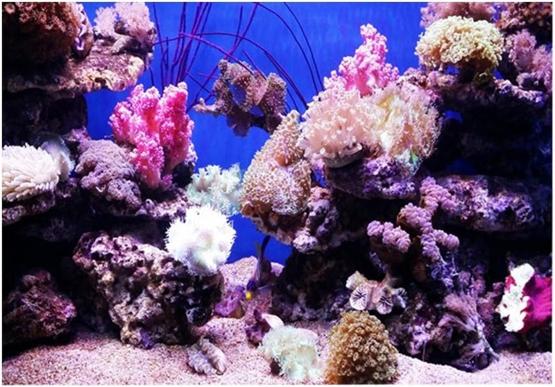 3D Effect Adhesive Seaworld Poster, Aquarium Fish Tank Decoration, Realistic PVC Sticker with Self - Adhesive Backing, and Durable for Freshwater Saltwater Tanks (91 * 50cm) - Image 1