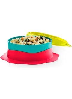 Tupperware Colorful Plate Berrylou 500 ml  - Image 5