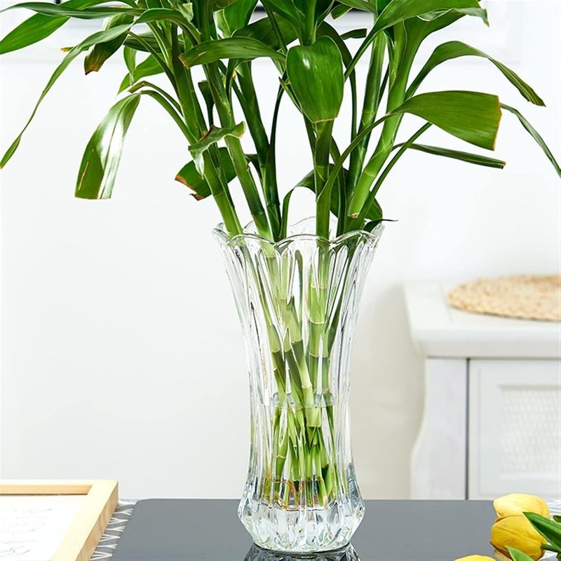 Vases Aquatic Glass Vase Decoration, Household Kitchen Living Room, Simple Modern Transparent Flower Restaurant Décor(25cm) - Image 3