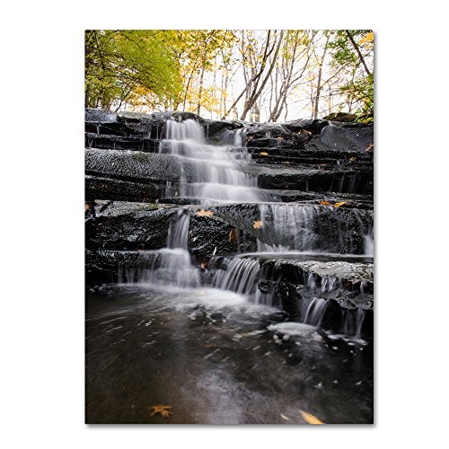Trademark Fine Art Waterfall at Lake View Wall Decor by Kurt Shaffer, 14" x 19" - Image 4