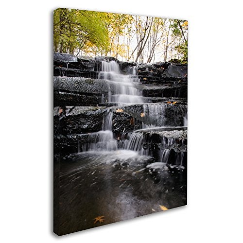 Trademark Fine Art Waterfall at Lake View Wall Decor by Kurt Shaffer, 14" x 19" - Image 2