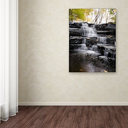 Trademark Fine Art Waterfall at Lake View Wall Decor by Kurt Shaffer, 14" x 19" - Image 3