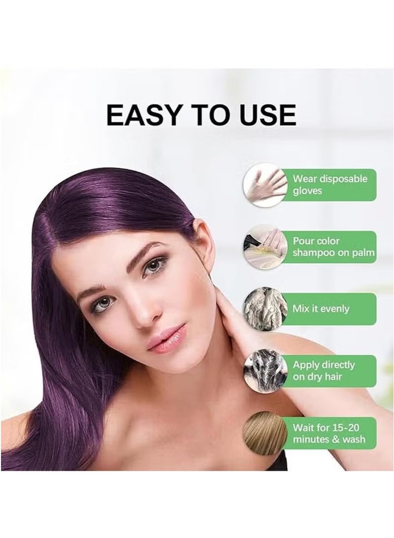 POLAR Hair Care Shampoo, Polar Hair Care Instant Dye Shampoo, Polar Hair Care Dye Shampoo (Red) - Image 2