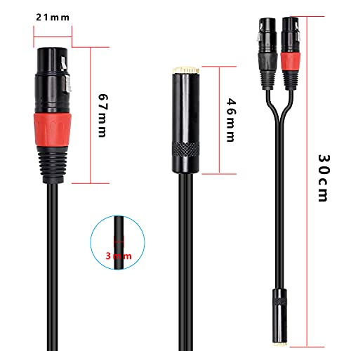 MEIRIYFA Dual XLR to 1/8 Female Adapter, Balanced Mini-Jack(3.5mm) to Microphone Cable, 3.5mm Stereo TRS to Dual XLR Transforming Cord Converter (1 feet /30cm) - Image 3