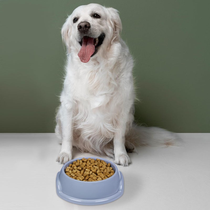 Comet Plastics 6L Pet Food Storage Container With Scoop and Pet Food Bowl | Cute Dog Artwork on your pet food storage container | Pet food bowl -750ml | BPA Free | Grey | Free Scoop | Free Bowl | - Image 3