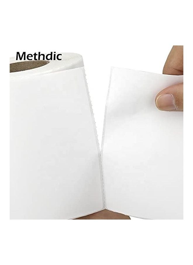 Loquat - 2-Piece Direct Thermal Shipping Labels Roll for UPS USPS 250 White - Image 1
