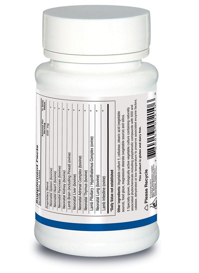 Biotics Research Neonatal Multi-Gland™ Mixed Organs and Glandular Concentrates. Broad Spectrum Therapy. Spleen, Heart, Pancreas, Kidney, Brain Liver, Adrenal, Thymus, Pituitary or Hypothalamus 60Tabs - pzsku/Z262FBF938EBDF68CE934Z/45/_/1735907411/9ae94985-dcea-4bb5-8e3d-09601d1f0398