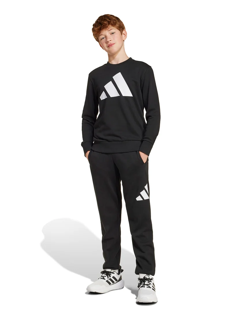 Adidas Youth Essential Joggers Set