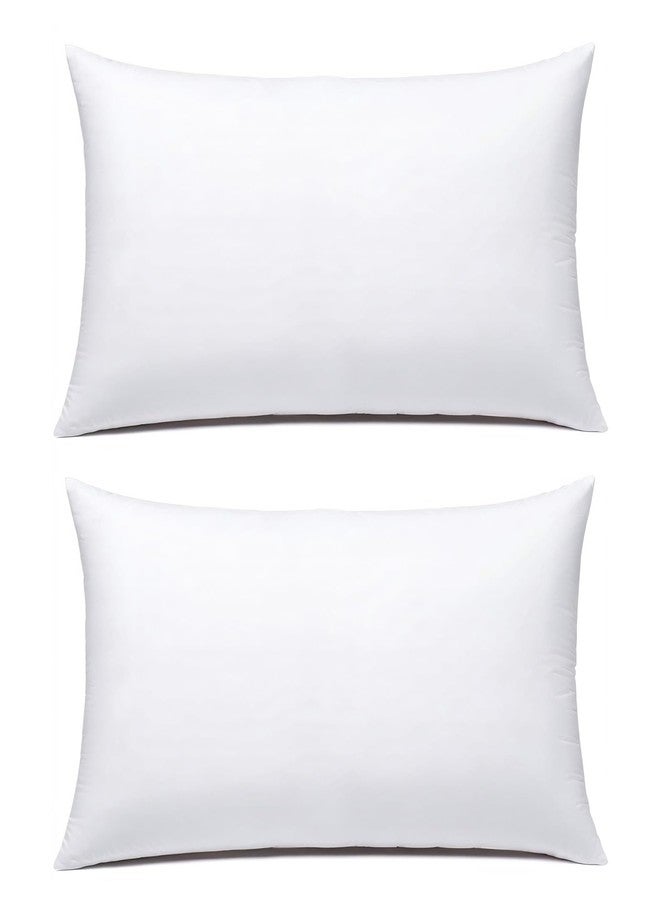 JIEITIVE Throw Pillow Inserts Hypoallergenic Premium Pillow Stuffer Rectangle Lumbar Pillow for Decorative Pillow Covers Cushion Set of 2-12 x 20 Inches - Image 1