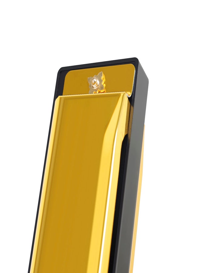 IRIN 10-Hole Harmonica Key of C 20-Tone Musical Gift with Storage Case for Beginner Student - Image 3