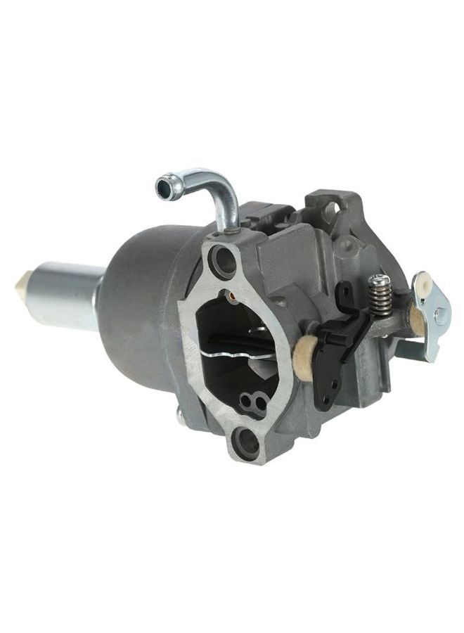 Loquat Carburettor With Accessory - Image 2