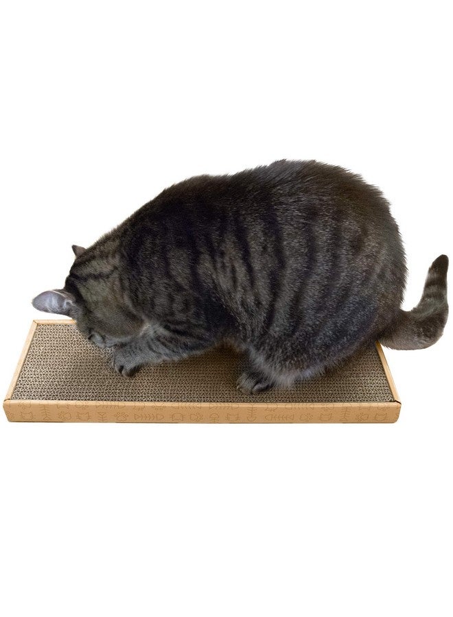 لوح خدش Furhaven مع عشبة النعناع البري للقطط المنزلية، قابل للعكس - وسادة خدش كلاسيكية مموجة للقطط - أصفر، صغير - Image 2