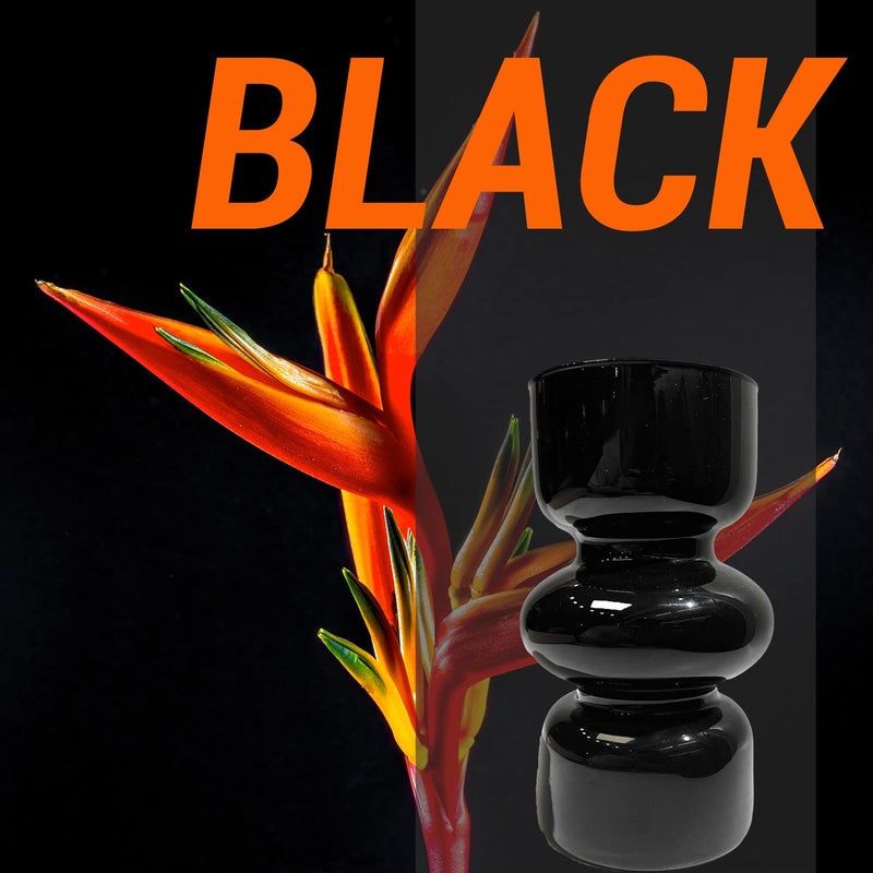 BLOFLO STU Bloflo Black Glass Glass Vase 7inches Glass Glass Vase for Flower من ثلاث طبقات من الزجاج الزجاجي لـ D؟ Cor Cor Modern Neghetric Glass Hare - Image 5