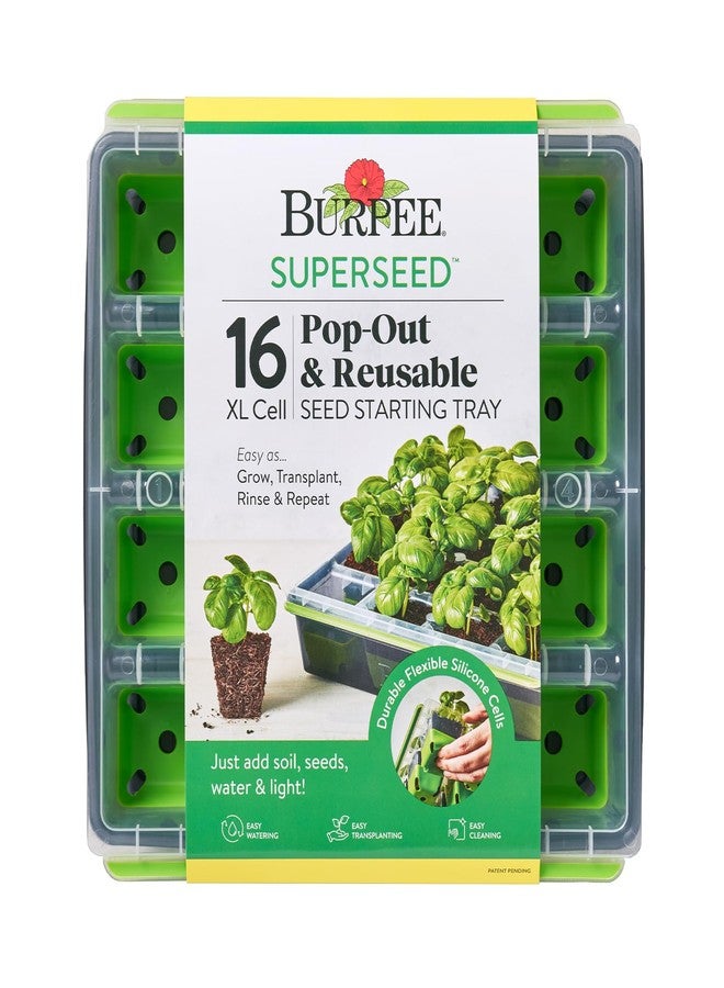 بيربي صينية إنبات البذور Burpee SuperSeed | 16 خلية كبيرة الحجم | قابلة لإعادة الاستخدام وآمنة للغسل في غسالة الأطباق | لإنبات بذور الخضراوات والزهور والأعشاب | مجموعة زراعة داخلية للشتلات ذات الجذور العميقة، أخضر - Image 1