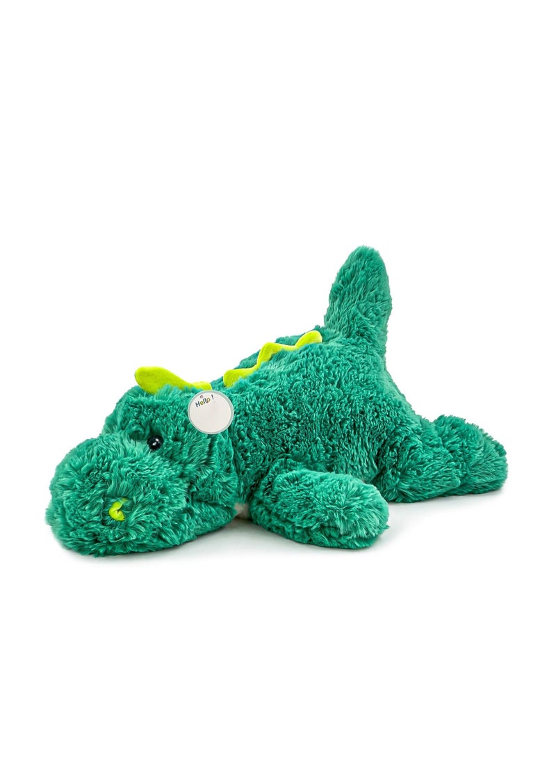 كابتن تيك Green Dinosaur Weighted Stuffed Animals,Sensory Comfort Plush Throw Pillow Toy,Plushies Hugging Toy Gifts for Kids & Adults (Dinosaur, 16 inch 2 Pounds) - Image 1