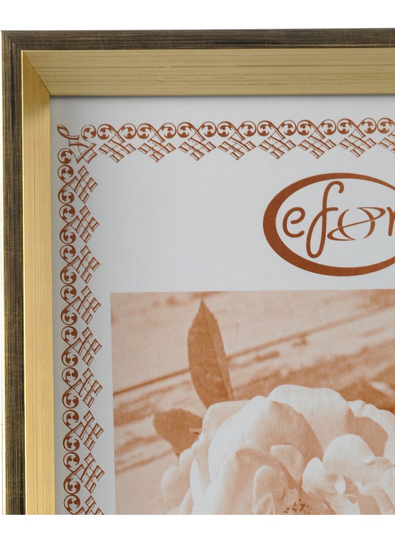 mixefor - MİXEFOR A4 Frame-Color GOLD -Back Surface 3mm MDF-Front surface Unbreakable, non-glare, Anti-reflective - Image 1