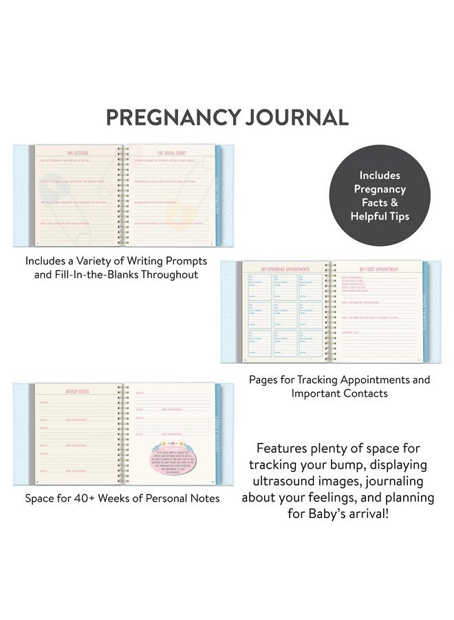 Studio Oh! Bump For Joy! Pregnancy Journal (Blue) - Image 3