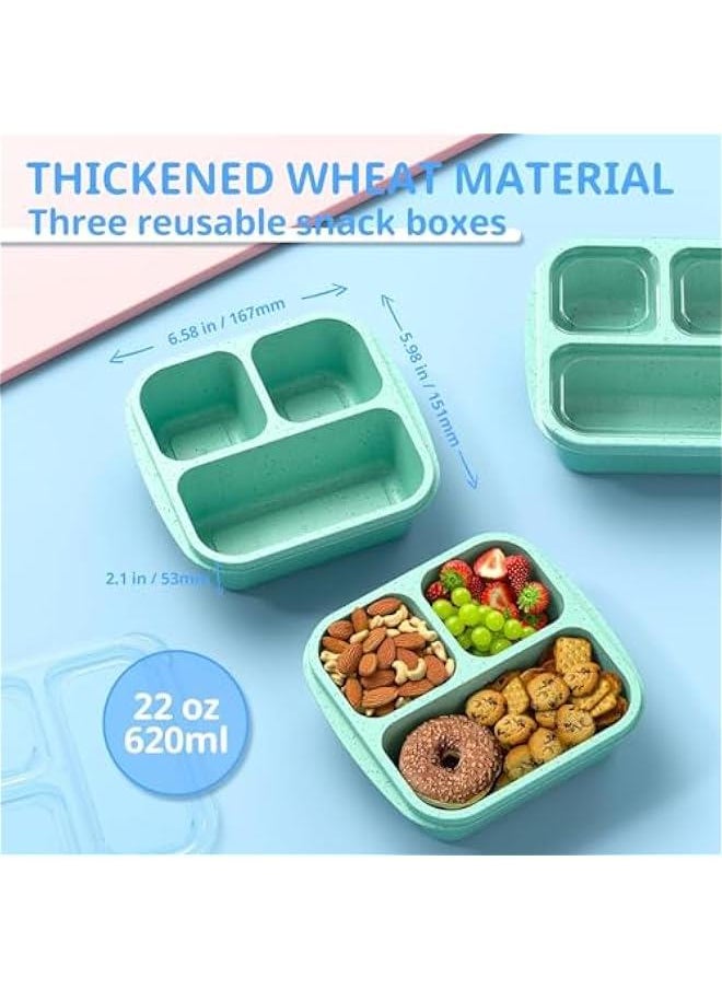 HOOKOR Snack Boxes (3 Pack) - Stackable Bento Boxes with 3 Compartments, Meal Prep Containers Reusable, Lightweight Lunch Containers for Kids and Adults, BPA Free (Green)  - Image 2