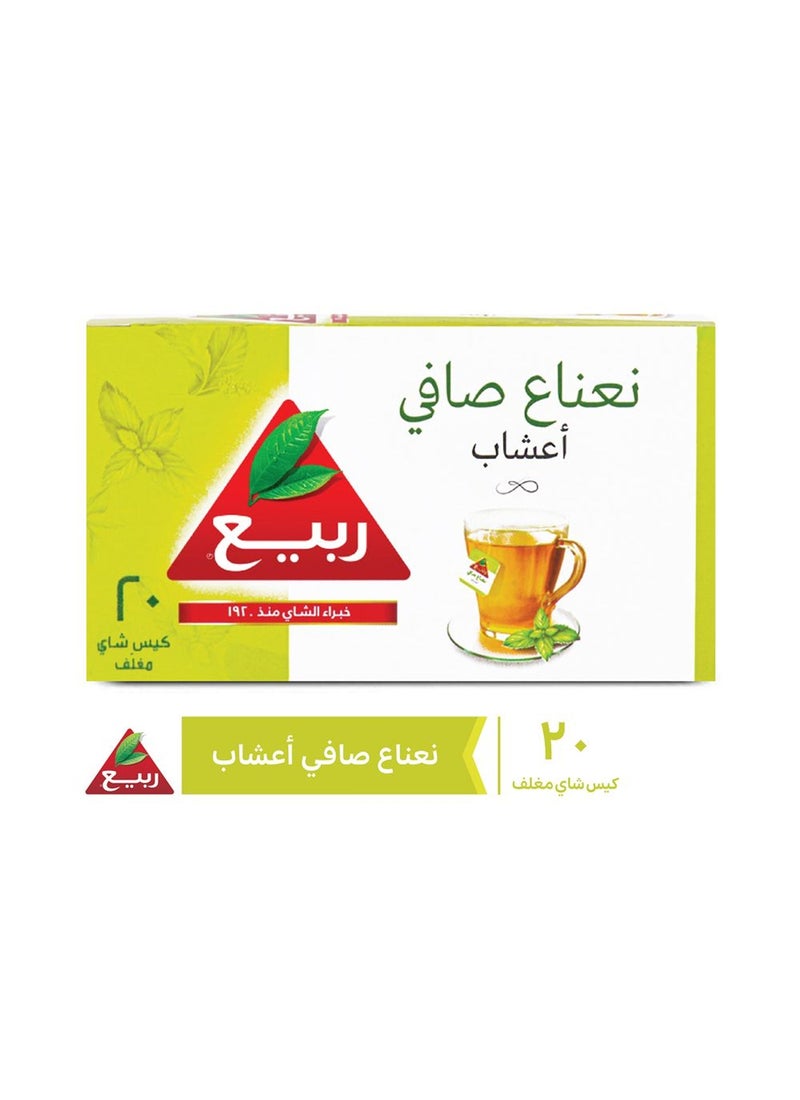 شاي ربيع شاي نعناع - Image 3
