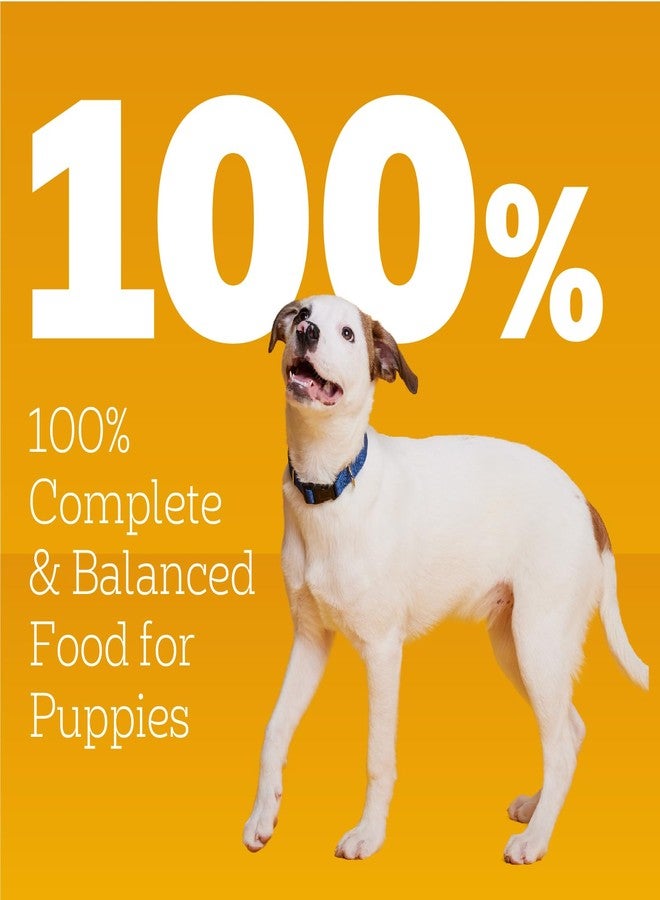 Pedigree Puppy Morsels in Sauce Wet Puppy Food with Beef, 3.5 oz Pouch - Image 4