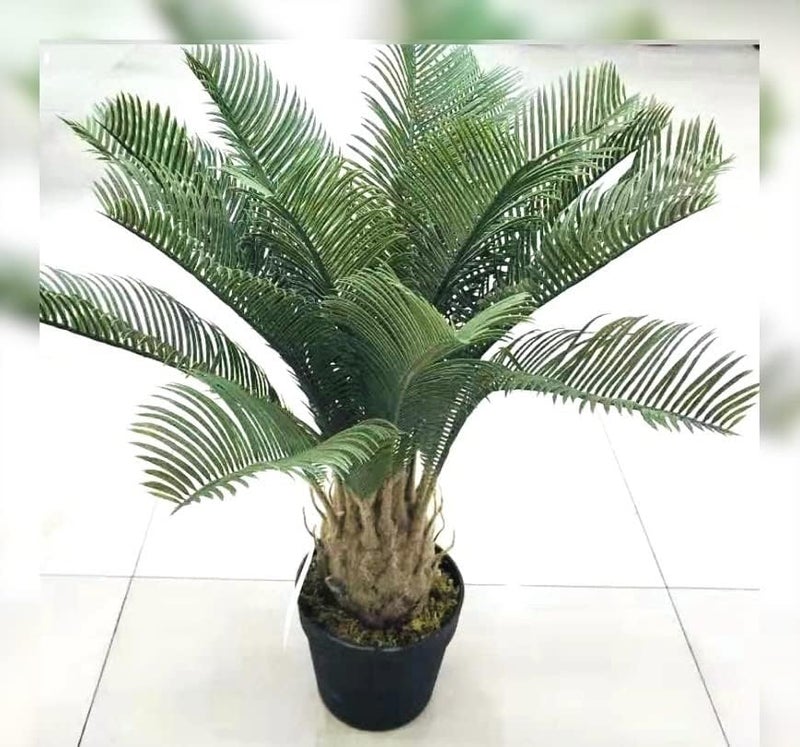 AMERIQUE Pair AMERIQUE Gorgeous 3 Feet Cycas Revoluta Sago Palm Tree with Nursery Pot Real Touch Technology  - Image 4