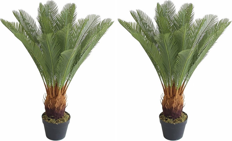 AMERIQUE Pair AMERIQUE Gorgeous 3 Feet Cycas Revoluta Sago Palm Tree with Nursery Pot Real Touch Technology  - Image 1