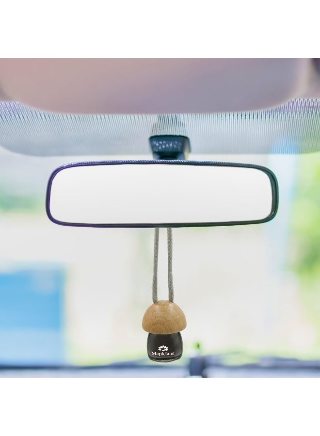 معطر جو للسيارة من مابلاند، زجاجة معلقة، برائحة الثلج المنعش، غطاء خشبي، زجاجة زجاجية، يدوم طويلاً، معطر جو داخلي للسيارة والمنزل والمكتب - برائحة الثلج المنعش - Image 2