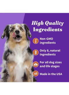 Halo Plant-Based Dog Treats with Sweet Potato & Carrots, Vegan Dog Treat Pouch, 8oz bag - pzsku/Z2646EEB7BACDD5E22ABDZ/45/_/1737374485/5cb8dcc9-98c5-466e-9e3d-b94c018cd5aa