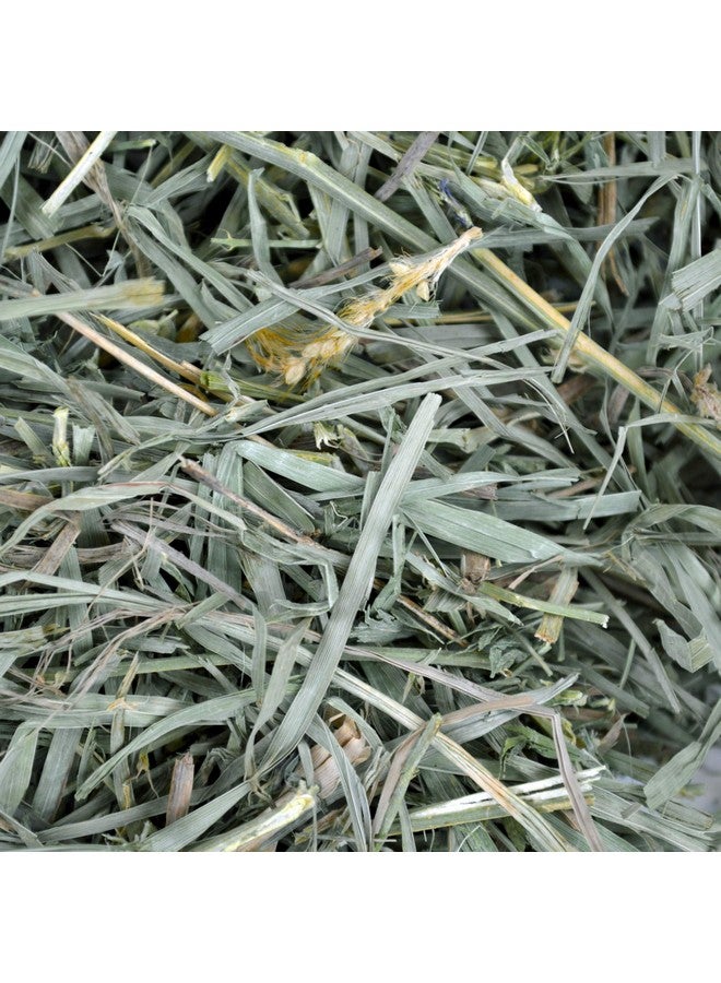 Oxbow Animal Health Organic Meadow Hay, Guinea Pig & Rabbit Hay, Small Pet Bunny Supplies, All Natural Grass for Guinea Pig, Bunny, Chinchilla & Hamster, Rabbit Supplies for Bunnies, 40 oz Bag - Image 4