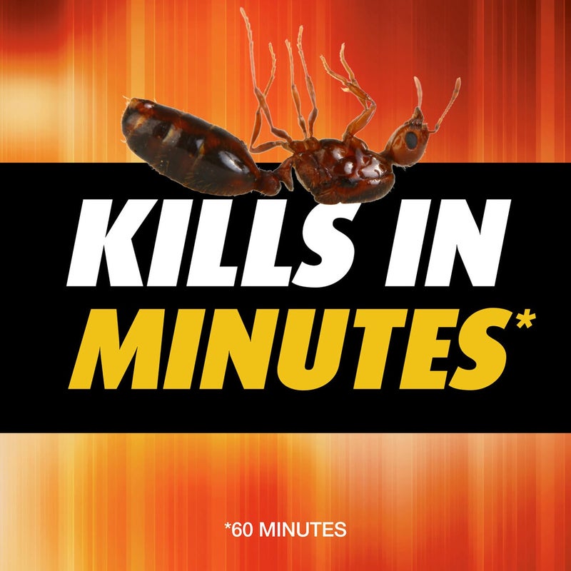 Ortho Orthene Fire Ant Killer1, Kills the Queen and Destroys Mounds, Begins Working in 60 minutes, 12 oz., 2-Pack - Image 5