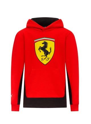 Hoodie - pzsku/Z264A9147E81790D902F4Z/45/1757676692/89a430c6-4fa1-4deb-8b07-bb1ad2de2616