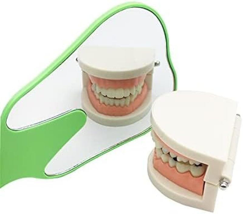 Tooth Shaped Mirror: Multicolor Handheld Mirror - Compact Cosmetic Mirror for Dentists, Beauty Enthusiasts - Image 3