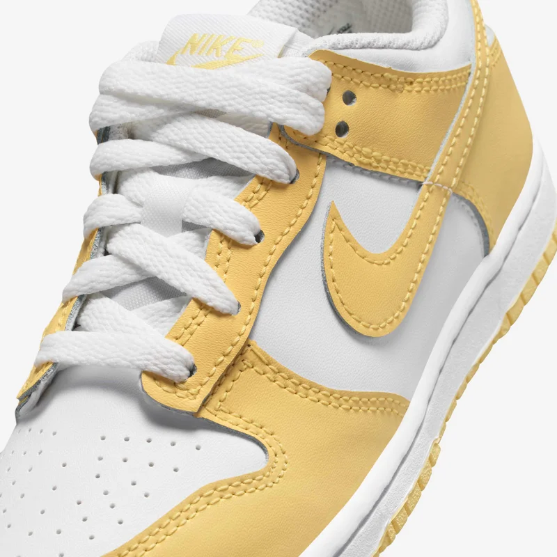 Nike Kids' Dunk Low Shoes