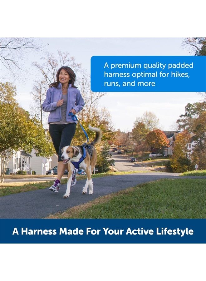 PetSafe EasySport Dog Harness - Padded, Adjustable Dog Harness with Control Handle and Reflective Piping - Great for Active Dogs - from The Makers of The Easy Walk Harness - Small, Charcoal - Image 1