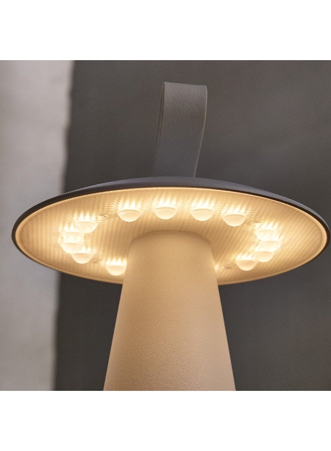 Home Box Dux Rechargeable Mushroom Shape Outdoor Lamp with Dimming Function Touch Switch - Image 4